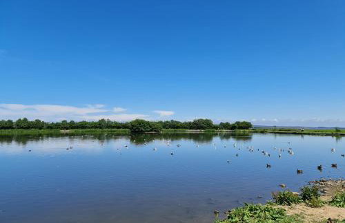 2 Bed Woodland Retreat - Garden & Free Parking - Photo 13