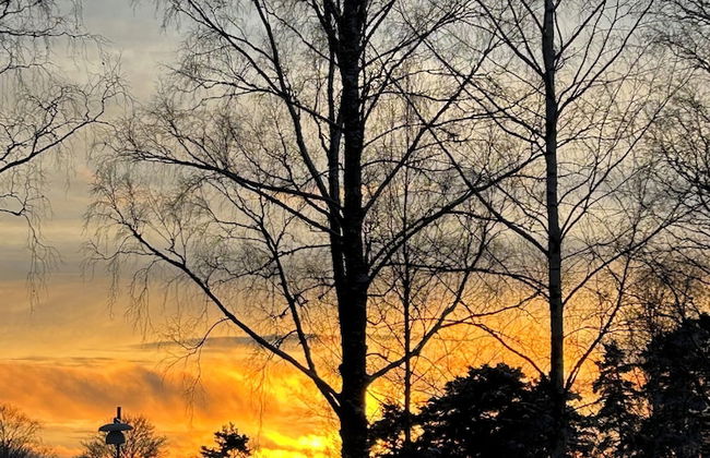 Flygeln lägenhetshotell - Foto 32