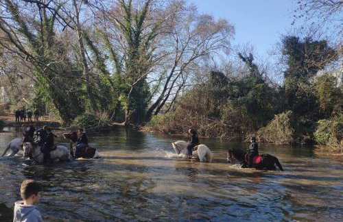 The Cozy Garden Villa - Foto 30