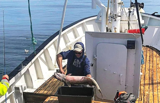 6 Person Holiday Home in Kverva - Foto 23