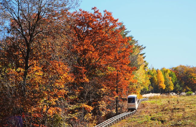 Mona Yongpyong Tower Condominium - Photo 55