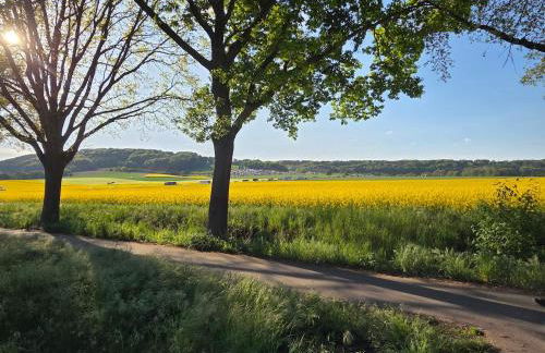 Park & Meer - Ferienwohnung im Grünen - Bad Zwischenahn, 4 Zimmer, bis 9 Gäste - Foto 47