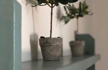 L'Ulivo Bianco - Foto 47