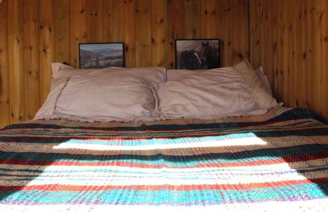 The Shearer's Hut, Sleeps 2, Wood Burner, Fire Pit - Foto 6