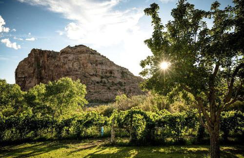 Quaint Bell Tent with Beautiful Vineyards Views in Cortez, Colorado - Foto 9