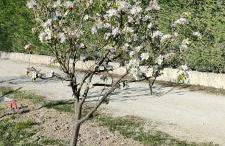 Domaines des confines - Photo 64