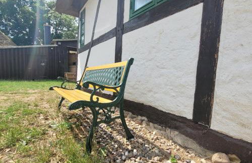 Ferienhof Schwalbennest OFC 24 - Foto 74