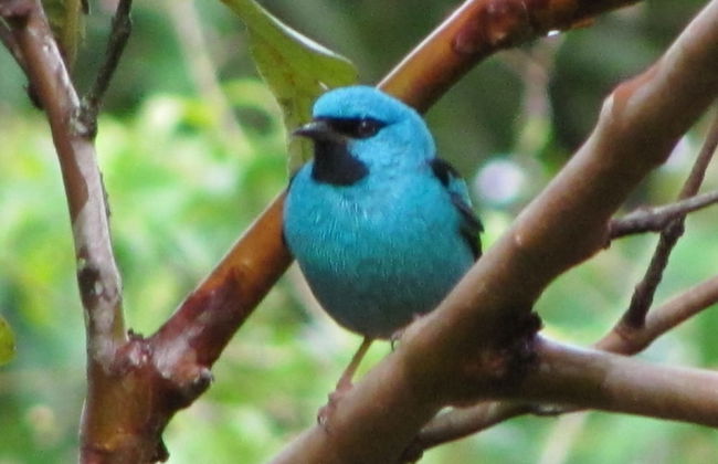 Sítio Rodamonte - Foto 36