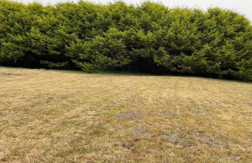 Surfside Beach House near Ancient Redwoods - Foto 65