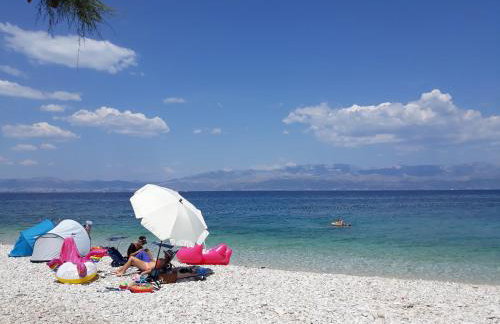 Dalmatino - apartment 6 - Photo 17