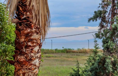 Calma Luxury Apartments #3 Sozopoli in Halkidiki - Foto 21