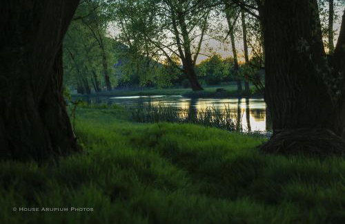 House Forest with HOT TUB - Foto 55