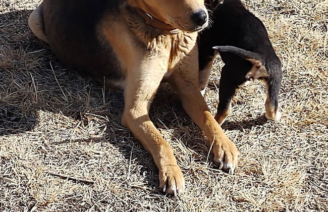 Room-parador Arewá La Energía Que Impuls - Foto 39