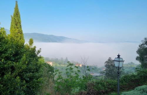 Podere Vecci - Foto 14