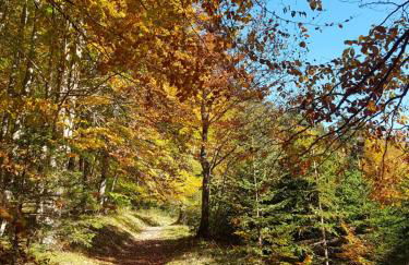 Gästehaus Alpvital - Foto 21