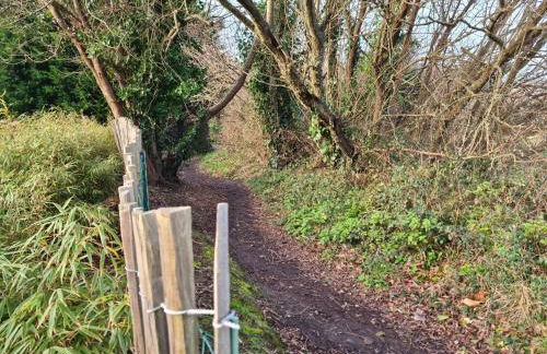 Kerlavost6 - Foto 24