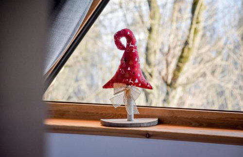 Apartamenty u Kurosa Jacuzzi & Sauna Ski Suche - Foto 59