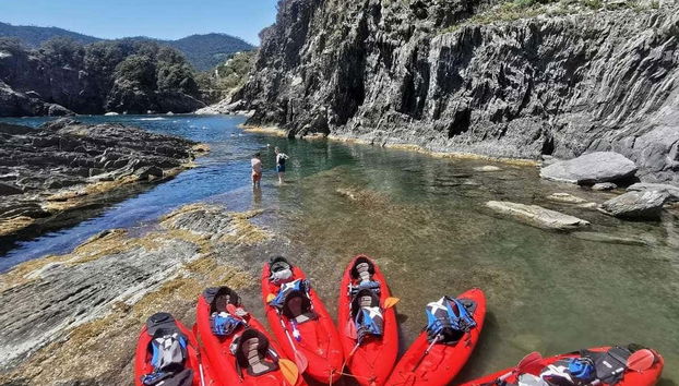 Kayaks pour l'activité