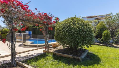 Casa Mitra - Foto 4, Garden, Garden view