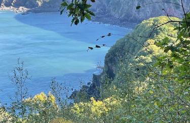 Skylark, Moor and Sea Holidays, beautiful views over Exmoor - Foto 23