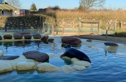 Ferienhaus Auszeit - Foto 14