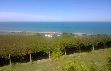 Agriturismo Santo Stefano - Foto 63