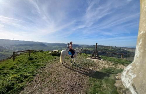 Casinha de campo- Quintinha dos Cavalos- Arruda dos Vinhos - Foto 45