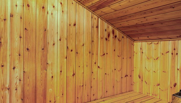 8 Person Holiday Home in Dannemare - Foto 4, Sauna