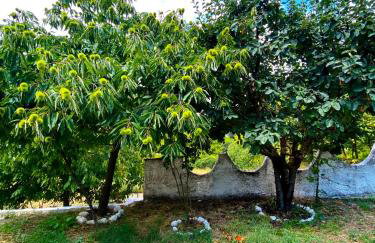 Σπίτι στα Έλατα - Foto 14