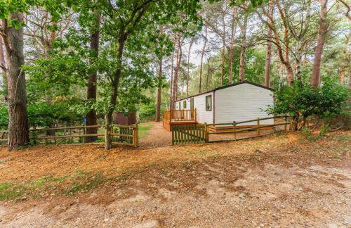 The Pines - Norfolk Cottage Agency - Photo 19