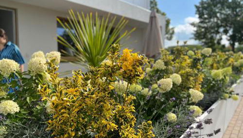 NEU 2023 Gemütliches Apartment im Eichsfeld - Foto 2