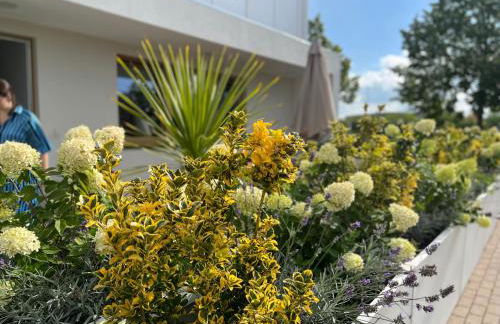 NEU 2023 Gemütliches Apartment im Eichsfeld - Photo 2