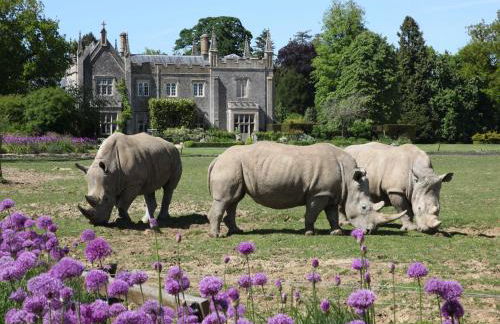 Cats Abbey Cottage - Photo 34