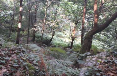 Quinta da Casa Matilde - NATURE HOUSE - Foto 59