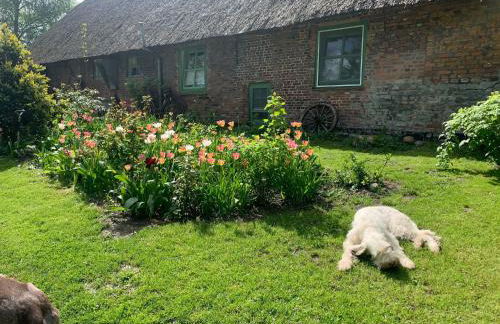 Modellregion- Krümelkate Eiderstedt - Foto 24