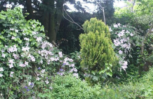 Holiday Home Ruhe am Meer - Ferienhäuser in den Gärten von Magra by Interhome - Foto 34