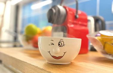 Beautiful One-Bedroom Apartment- City Center Lyon - Photo 5