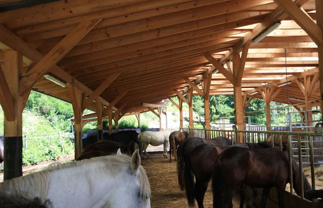 Chalet in Liebenfels Near ski Area - Foto 29