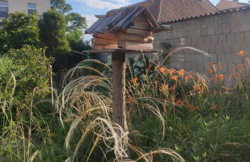 Flussperle - Foto 42