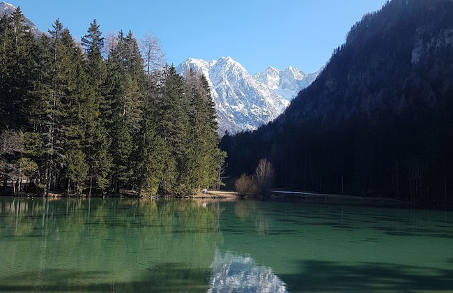 Apartmaji Koželj - Foto 32