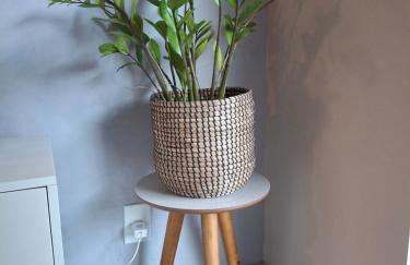 Casa Tropical - Photo 11