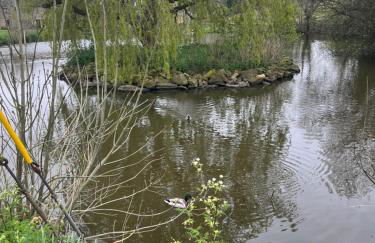 Lavender Cottage Grewelthorpe Nr Masham Ripon - Foto 61