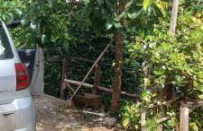 Casa na praia com quintal amplo e piscina - Foto 15