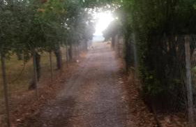 Manto Studios - Photo 45