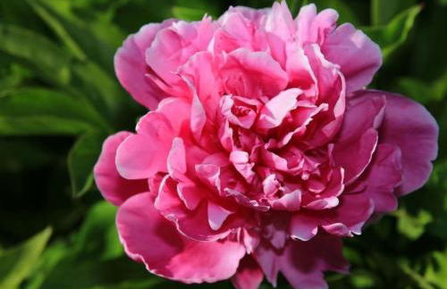 Holiday Home in Storkow mit Schönem Garten by Interhome - Foto 33