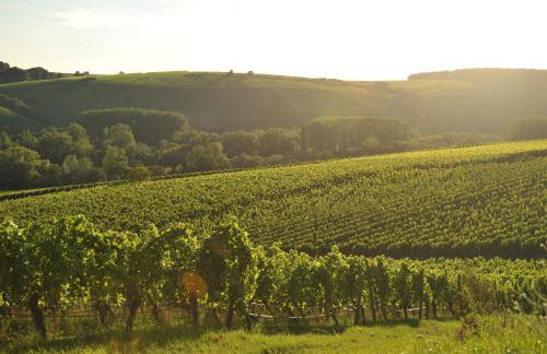 Ferienwohnungen TonArt - modern & stilvoll im Weinort Sommerach - Foto 27