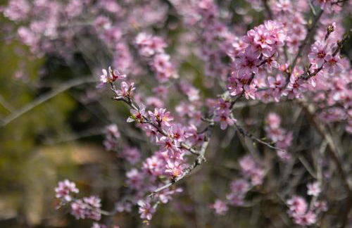 Rustic Escape by Fidalsa - Foto 39