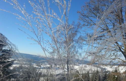 Ferienhäuschen Sans Pareille bei Bayreuth - Foto 52