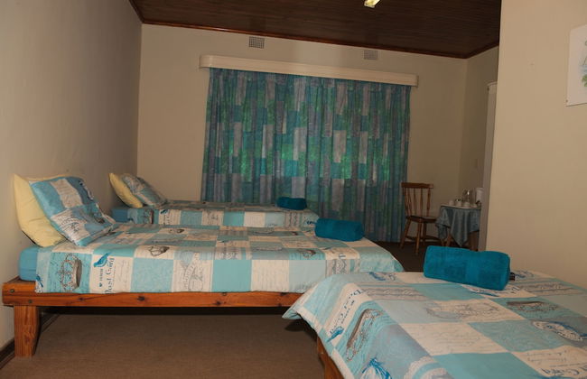 Near2Numbi - Foto 25