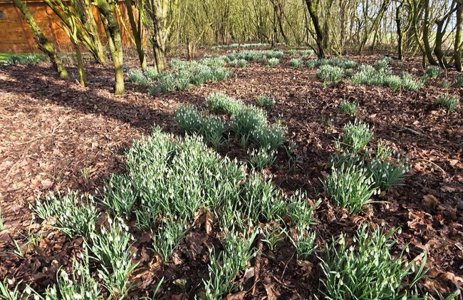 Lighthouse Lodge - Dog Friendly Nr Sutton on Sea - Photo 40